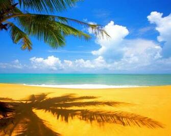 Computer Wallpaper Of The Beach HD