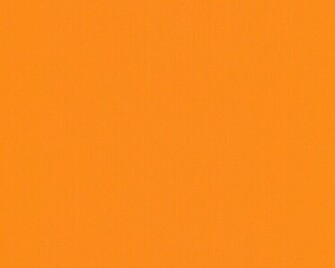 Bright Orange Is Not A Very Common Color That S Why I Like It But