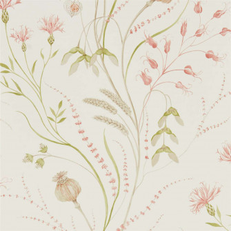 Summer Harvest Claret Olive Wallpaper Sanderson By Design