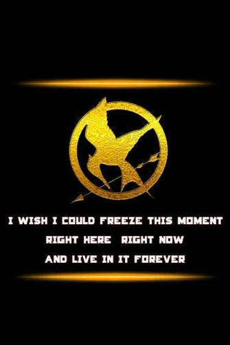 The Hunger Games Logo Simply Beautiful iPhone Wallpaper