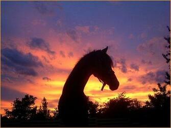 Horses In The Sunset Wallpaper