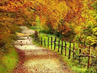 Tag Beautiful Autumn Scenery Wallpaper Background Photos Image
