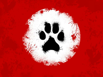 Furry Fandom Wallpaper Feragor