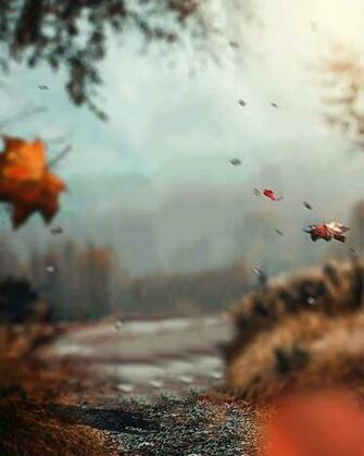 Best Photo Editing Background Dslr Background Image