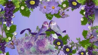 Love Birds Wallpaper