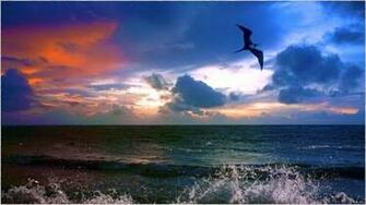 1080p Ocean Background For Android Appszoom