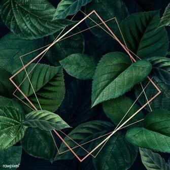 Premium Illustration Of Rhombus Frame On A Leafy