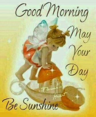 Whatsapp Good Morning Messages Funny Status Wallpaper