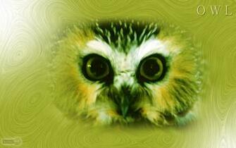 Owl Wallpaper Background Desktop