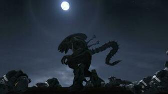 Halo Wallpaper Alien