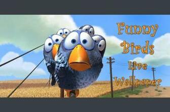 Descarga El Programa Funny Birds Live Wallpaper Papel Pintado Para