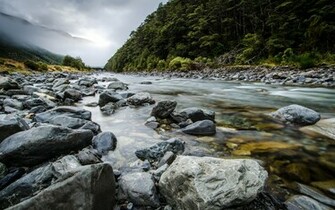 In New Zealand Wallpaper And Image Pictures Photos