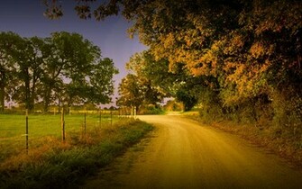 Dirt Road Trees Wallpaper Myspace Background