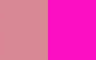 Shimmering Blush And Shocking Pink Solid Two Color Background