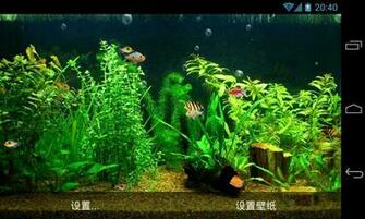 Fish Tank HD Live Wallpaper Android Apps On Google Play