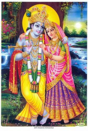 My Kanha February