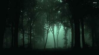 Foggy Forest Wallpaper High Quality Flip