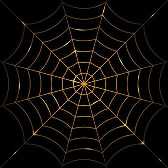 Vector Spider Web Design Background Graphics