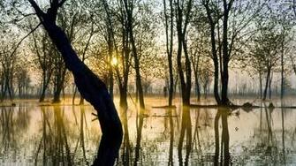 Dramatic Swamp Sunset Wallpaper Pc Wallpaperlepi