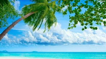 Summer Day Wallpaper On