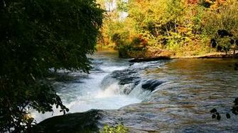 River In Autumn