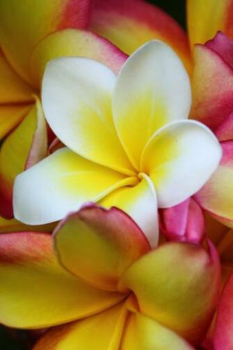 3d iPhone Wallpaper Wall Pics 4k