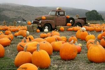 Wallpaper Truck Pumpkin Farm Desktop In The