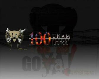 Pumas Unam Wallpaper Football And Videos HD Walls Find