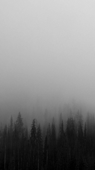 Top Black White iPhone Wallpaper Full HD 4k To Use