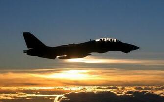 Tomcat HD Wallpaper Pictures