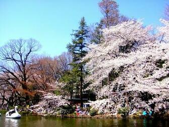 Beautiful Spring Celebration Traveler Photo Contest National
