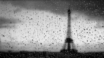 Desktop Rain Wallpaper Broken Panda