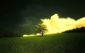 HD Wide Screen Wallpaper Pack Web Upd8