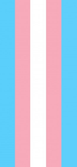 Transgender Flag Png Wallpaper