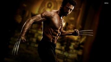 Wolverine Wallpaper Desktop Teahub Io