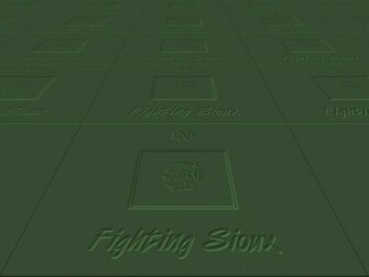 Fighting Sioux Wallpaper