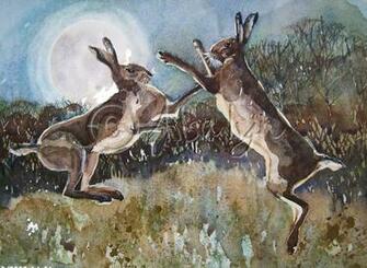 Boxing Hares