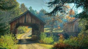 Wallpaper Nature Bridge Road Forest Trees Large On The