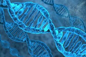 Dna Helix