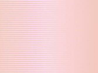 Peach Wallpaper
