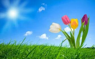 Best Top Desktop Spring Wallpaper HD Background
