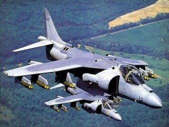 Harrier Wallpaper