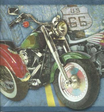 Motor Sports Motorcycle Motocross Bike Racing