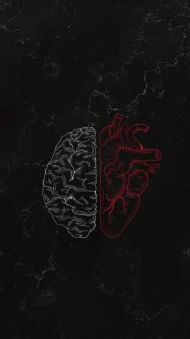 Brain Vs Heart iPhone Wallpaper