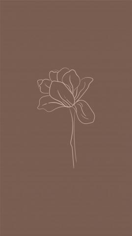 Brown Aesthetic Wallpaper On