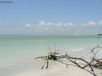 Gulf Coast Of Florida Desktop Wallpaper Background The