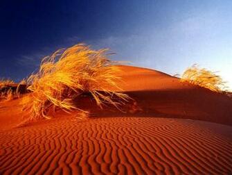 Desert Scenes Wallpaper Stock Photos Cool
