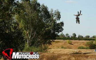 Gallery For Fmx Wallpaper