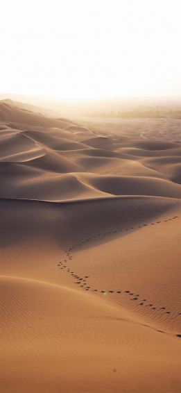 Aerial Photo Of Brown Desert iPhone Wallpaper