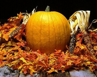Autumn Harvest Wallpaper